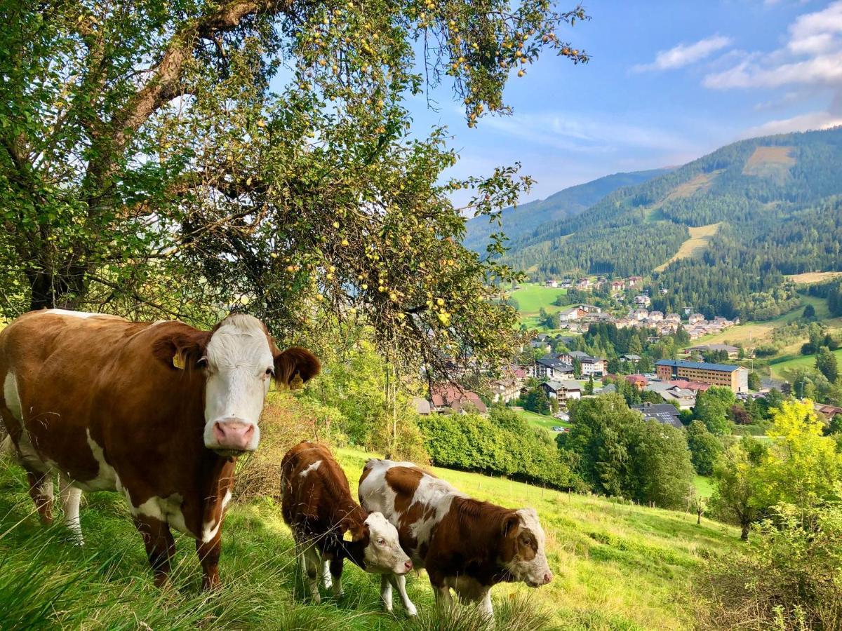 Apartment Feichterhof Bad Kleinkirchheim